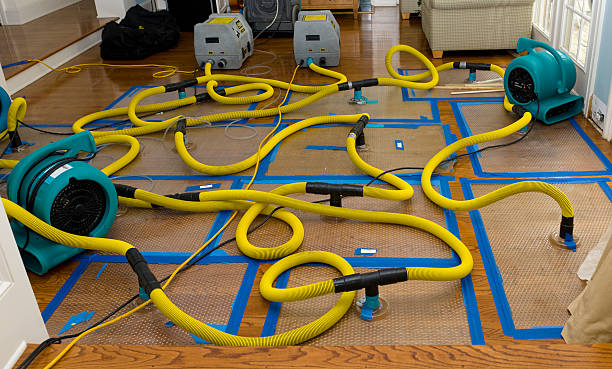 Professional Water Extraction technician working in Bonita, CA